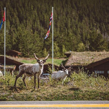 Storjord Saltdal Turistsenter 빌라 외부 사진
