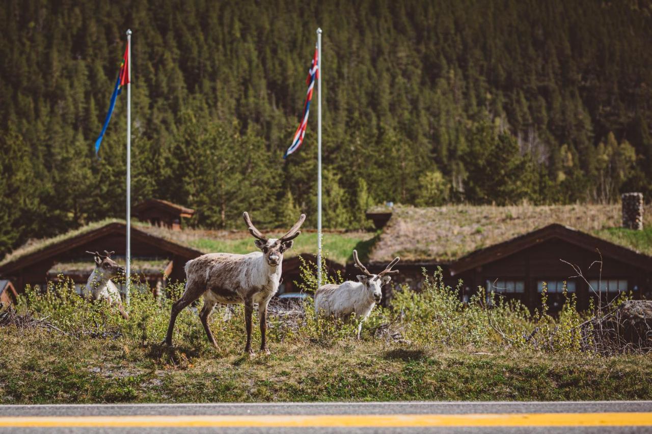 Storjord Saltdal Turistsenter 빌라 외부 사진