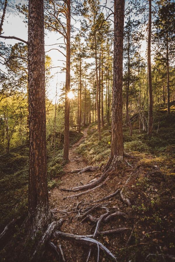 Storjord Saltdal Turistsenter 빌라 외부 사진
