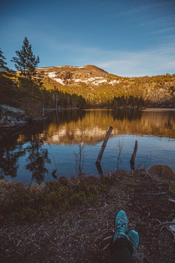 Storjord Saltdal Turistsenter 빌라 외부 사진