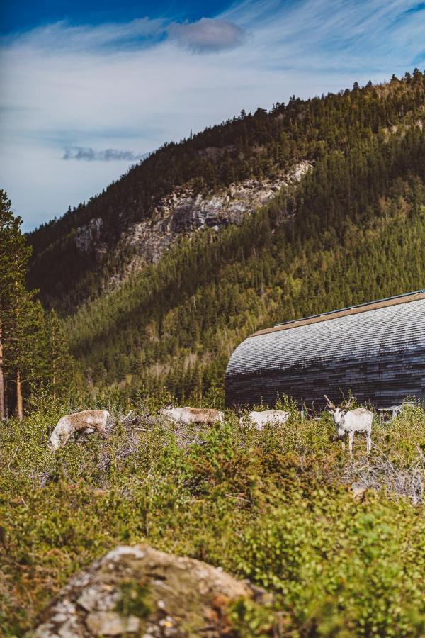 Storjord Saltdal Turistsenter 빌라 외부 사진
